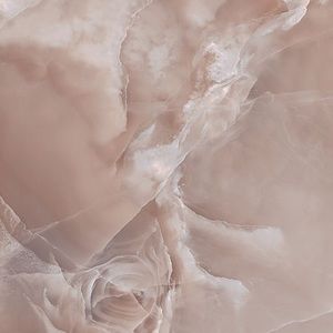 Meet your Posher, Jayda